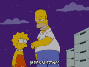 homer simpson,lisa simpson,season 20,night,episode 8,sadness,disappointed,20x08,moment together