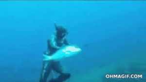 nature,fish,hands,shark,underwater,incredible,steal,diver,its mine