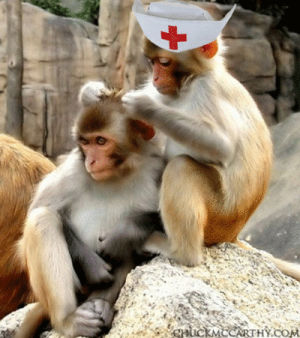 nurse,school,monkey