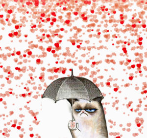 umbrella,heart,grumpy cat