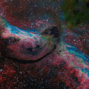 space,sloth,color,trippy,colorful,my eyes,sloth in space