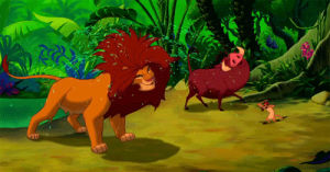 simba,lion king,animation,timon,pumba