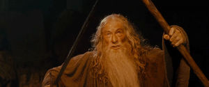 you shall not pass,gandalf,lord of the rings,lotr