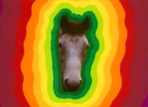 trippy,father ted,rainbow,90s,comedy,horse,whyhaveyounotheeded