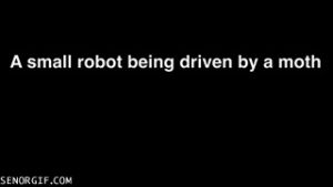 robot,seor,moth,driven