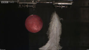 physics,gravity,feather,bowling ball