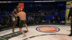 knock out,sports,fight,mma,sleep,ouch,battle,ko,finish,painful,bellator mma