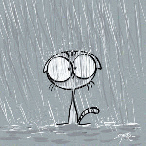 rain,marko,cat,happyday