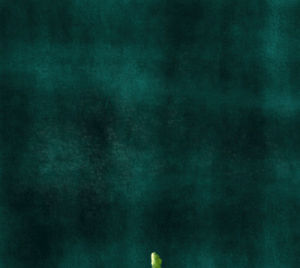 Bounce animation test tv paint GIF - Find on GIFER
