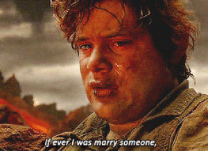 the lord of the rings,frodo baggins,samwise,samwise gamgee,frodo,elijah wood,lotrcreation,lotrcreationfotr,sean austin,can we just stop,feel,frodo stop crying youre making me weep
