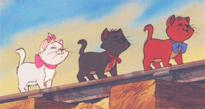 queue,aristocats,the aristocats,cat,disney