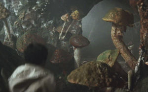 mushrooms,horror,psychedelic,surrealism,toho,eiji tsuburaya,mahamadou diaby,dave nestler