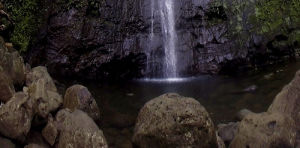 waterfall,landscape,hawaii,transform tomorrow,honolulu,manoa falls