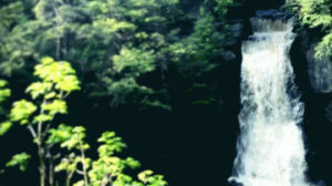 waterfalls,vintage,waterfall,water,nature,popular,pop punk,tumblr famous
