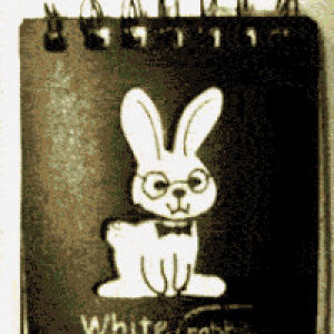 GIF white rabbit - animated GIF on GIFER
