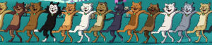 cat,kitten,kitty,futurama,kittens,party cat,dancing kittens