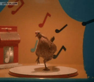 chicken,dancing