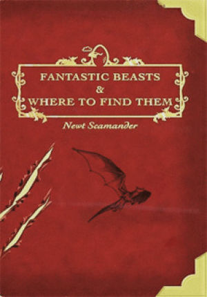 fantastic beasts and where to find them,movie,harry potter,exciting,jk rowling