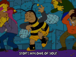 bumblebee man,happy,episode 8,excited,season 20,upset,20x08