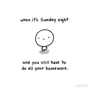chibird,sunday,homework,sad,school