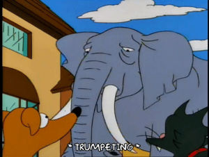 elephant,animals,angry,episode 17,season 13,santas little helper,trunk,13x17