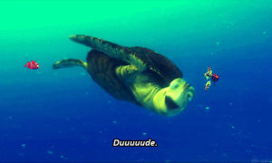 animation,ocean,turtle,chill,finding nemo,duuuude,love this dude