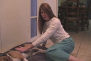 disgusting,dog fail,jajaja,fail,ouch,horrible,all in with cam