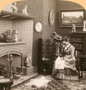 3d,stereoscope,fireplace,black and white,vintage,study,meta,vintage3d,turn of the century,1901