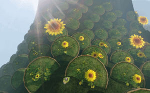 sunflower,time lapse,day,flowers,sun,lilly pad