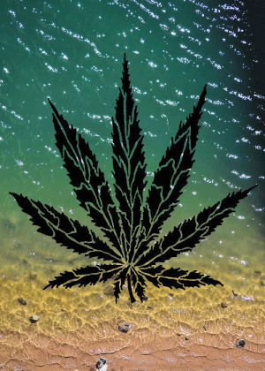 marijuana,psychedelic,trippy,cannabis,leaf