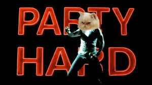 cat,party hard,party cat