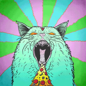 dmt,cat,food,trippy,psychedelic,pizza,kitty,drugs,acid,lsd,shrooms,mushroom,shroom,trippy cat,acid cat,lwd