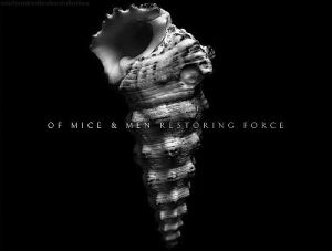 excited,album,bands,of mice and men,omam,wicth