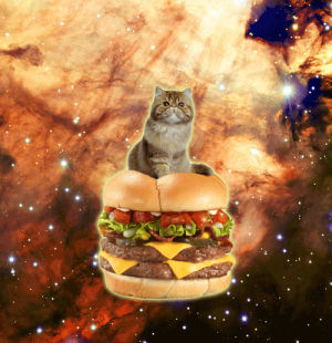 space,hamburger