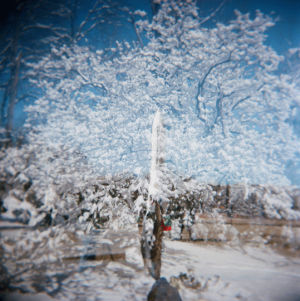 3d,snow,winter,tree,double,nuclear,missile,atomic,double exposure,birdhouse,animatedjimf,back yard,nuclear winter,weapons of mass destruction,global zero