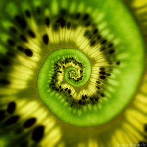 psychedelic,green,endless,hypnotic,loop,infinite,fruit,spiral,vortex,kiwi