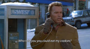 jingle all the way,arnold schwarzenegger,movies,cookie