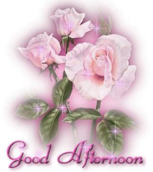 good afternoon,rose,flowers,greeting,roses,afternoon,graphics,flower,sparkle,good,kawaii,glitter,pastel,pale,myspace,soft grunge