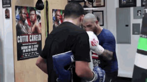 boxing,cotto,miguel cotto,cottocanelo,rocnationsports,warcotto