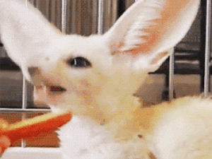 Gif Farm Aid Apfel Pomme Animated Gif On Gifer