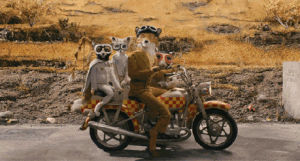 canis lupis,wes anderson,george clooney,fantastic mr fox,ling rush,time to cheese