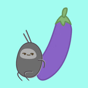 eggplant,bug,fast,fruit,fun,character,comic,cockroach,002,silly,fast and furious,vegetable