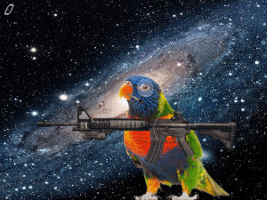 og,parrot,space,surreal