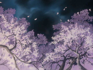 blossom,cherry blossom,cherry blossom tree,love,animation,pink,scenery,cherry