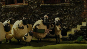 shaun the sheep,farmers llamas,animation,llama,poke,aardman,shaunthesheep