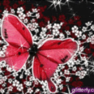 Apaixonados por gifs: Gifs de lindas borboletas com glitter brilho!  Butterfly Gif com brilho de glitter!