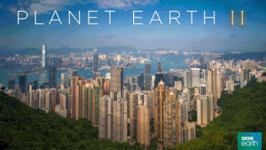 city,sunset,transition,cities,planet earth 2,bbc earth,day to night