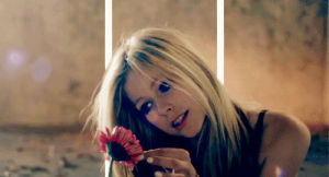 avril lavigne,flower,wish you were here