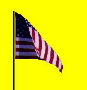 american flag,transparent