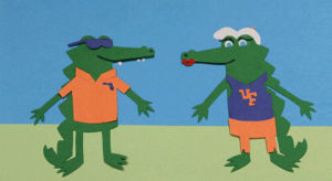 go gators,gators,uf,orange and blue,gatorday